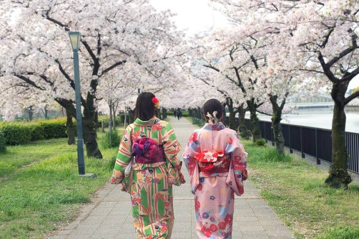 Tokyo, Kyoto and Hiroshima end Tokyo GO 7-Day Tour by Europamundo - Kyoto’s shrines and gardens after the fast train