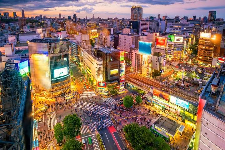 Tokyo, Kyoto and Osaka 5-Day Tour by Europamundo - Day 1: Arrive in Tokyo and get settled