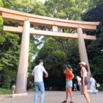 Tokyo Meiji Shrine Cultural Guided Walking Tour - A torii gate sets the tone