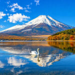 Tokyo Mount Fuji Customizable Day Tour - Leaving Tokyo by car