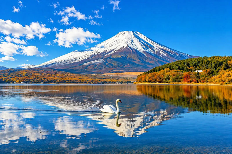 Tokyo Mount Fuji Customizable Day Tour - Leaving Tokyo by car