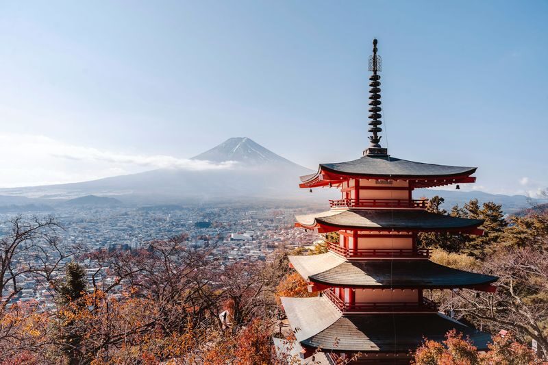 Tokyo Mount Fuji Day Trip: Fruit Picking and Sightseeing Train - The Fujikyuko Line adds a local pause