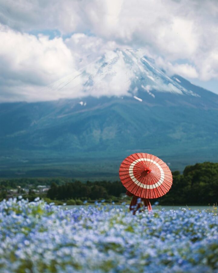 Tokyo Mount Fuji & Gotemba Full-Day Private Tour - Chureito Pagoda: a classic Fuji view, with stairs