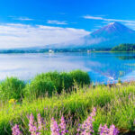 Tokyo Mount Fuji & Lake Kawaguchiko Full-Day Tour with Private Car - Arakurayama Sengen Park and the Fuji-area stops