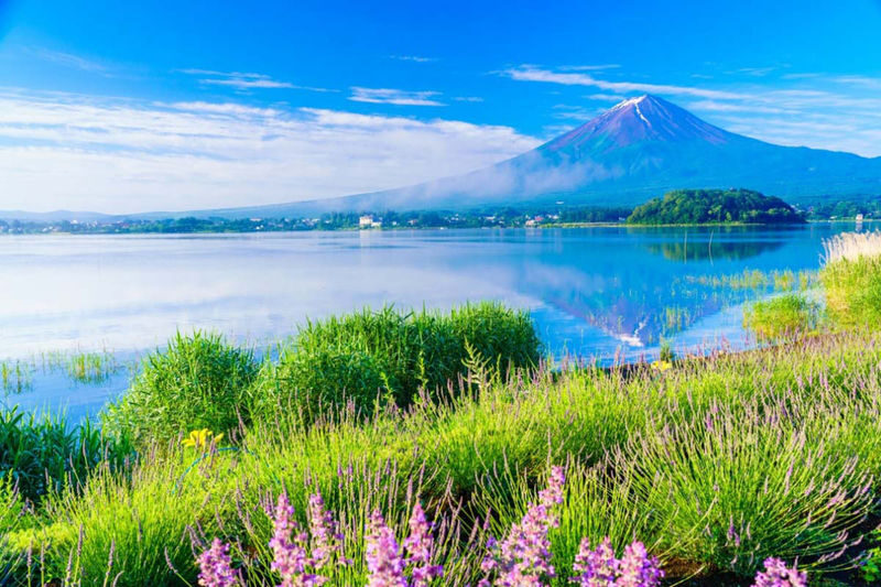 Tokyo Mount Fuji & Lake Kawaguchiko Full-Day Tour with Private Car - Arakurayama Sengen Park and the Fuji-area stops