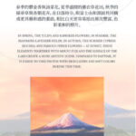 Tokyo Mount Fuji & Lake Kawaguchiko Sunset Tour - Oshino Hakkai brings a change of pace