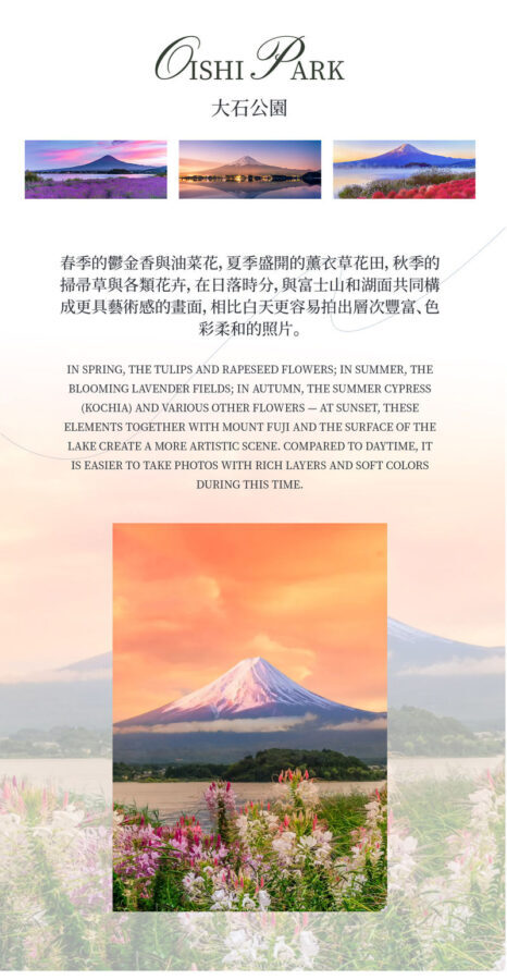 Tokyo Mount Fuji & Lake Kawaguchiko Sunset Tour - Oshino Hakkai brings a change of pace