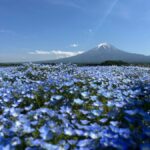 Tokyo Mt. Fuji Full-Day Private Customizable Tour - Build a route around your priorities