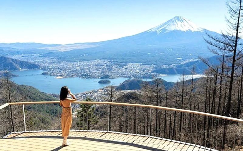 Tokyo Mt. Fuji & Hakone Private Customizable Day Tour - The Tokyo pickup and the long road west