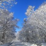 Tokyo | Nagano Departure: Jigokudani Monkey Park Snow Monkey Hot Spring, Beef Sukiyaki | Togakushi Shrine Secret, Zenkoji Nakamise-dori | Limited-time Iiyama Snow Hut, Beef Sukiyaki - Jigokudani: a memorable sight with a real walk