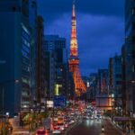 Tokyo Night View Private Half-Day Tour - What the half-day format means for your evening