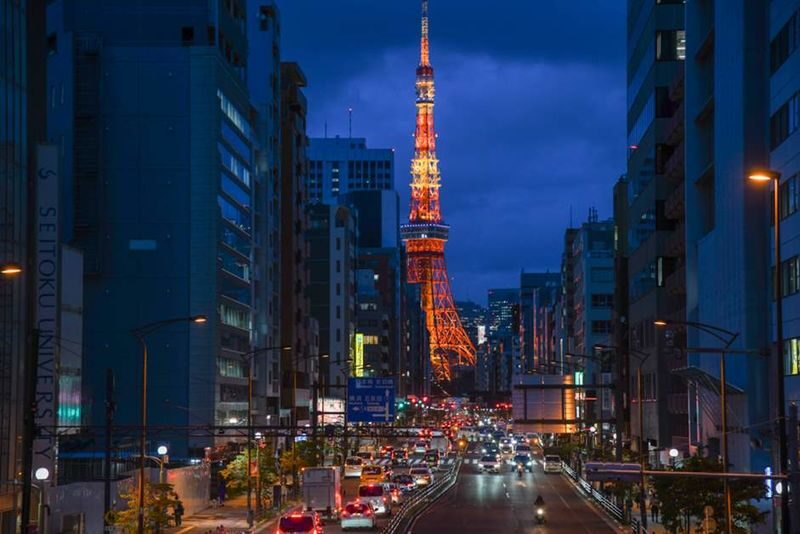 Tokyo Night View Private Half-Day Tour - What the half-day format means for your evening