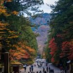 Tokyo Nikko Day Trip: Nikko Toshogu Shrine + Kegon Falls, Onsen Hot Spring & Edo Village Cultural Experience - Toshogu Shrine: carved detail, cedar shade and a ticket to buy