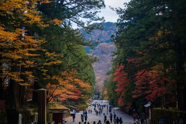 Tokyo Nikko Day Trip: Nikko Toshogu Shrine + Kegon Falls, Onsen Hot Spring & Edo Village Cultural Experience - Toshogu Shrine: carved detail, cedar shade and a ticket to buy