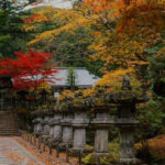 Tokyo Nikko Private Full-Day Tour with Transfers - From Tokyo to Nikko: set the day’s rhythm early