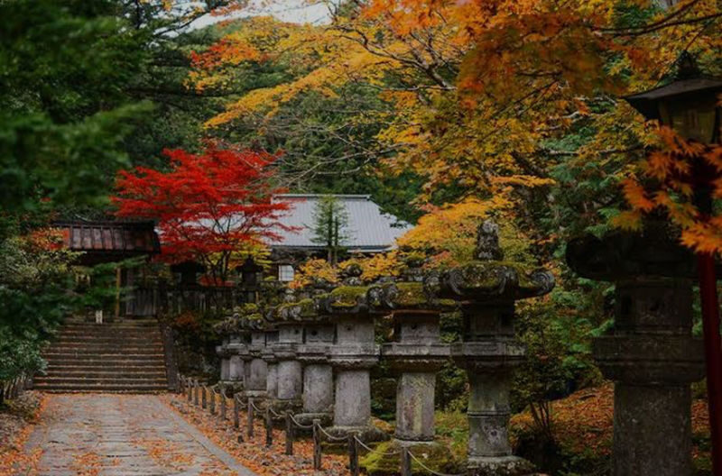 Tokyo Nikko Private Full-Day Tour with Transfers - From Tokyo to Nikko: set the day’s rhythm early