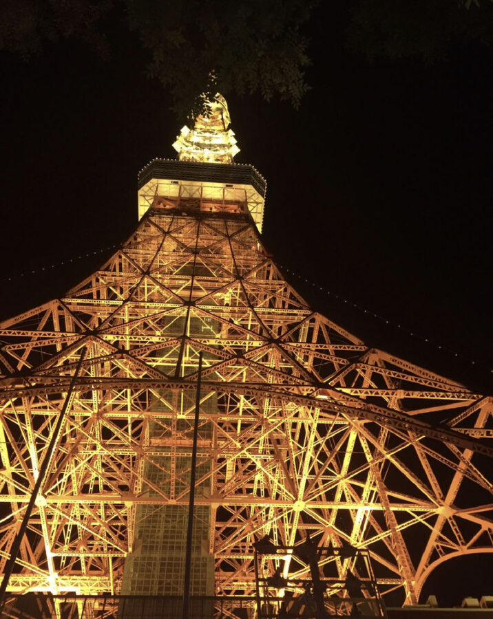 Tokyo Private Car Charter | Mount Fuji-Lake Kawaguchi-Oshino Hakkai | Customizable Itineraries - Kawaguchiko gives you the classic Fuji view