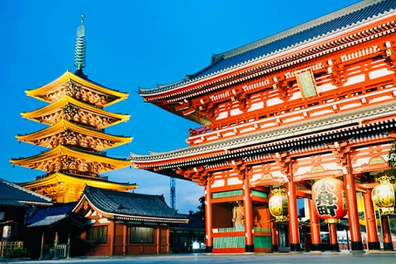 Tokyo Private Customizable Full-Day Tour - Tsukiji: start with Tokyo’s food culture