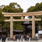 Tokyo Private Tours - Trips to Tokyo One-day Private & Customizable Tour - What the car changes in Tokyo