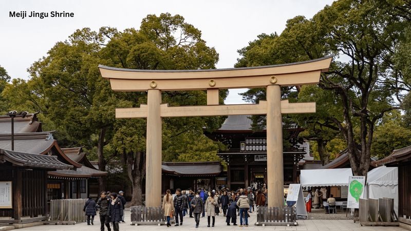 Tokyo Private Tours - Trips to Tokyo One-day Private & Customizable Tour - What the car changes in Tokyo