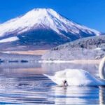 Tokyo To - Mount Fuji Day Trip With English Speaking Driver/Guide - Oshino Hakkai brings the day down to village scale