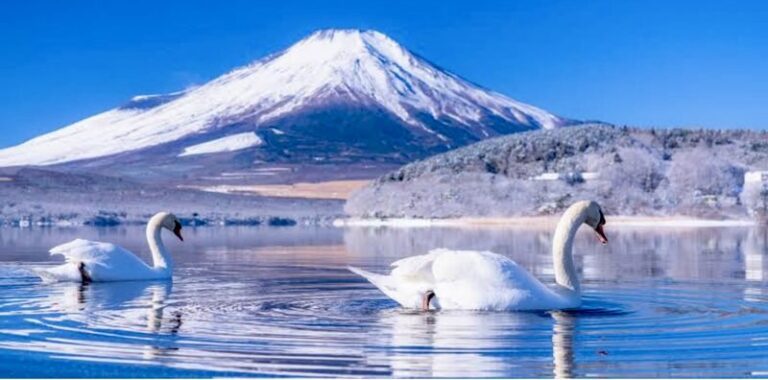 Tokyo To - Mount Fuji Day Trip With English Speaking Driver/Guide - Oshino Hakkai brings the day down to village scale