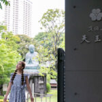 Tokyo Yanaka, Nezu, Sendagi Half-Day Private Cultural Tour - What the walk through Yanaka Ginza offers