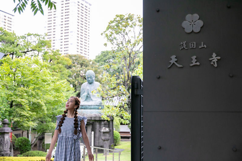 Tokyo Yanaka, Nezu, Sendagi Half-Day Private Cultural Tour - What the walk through Yanaka Ginza offers