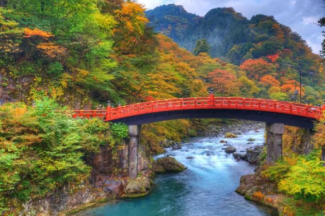 Toshogu Shrine & Shinkyo Bridge One-day Tour - Kegon Falls: a dramatic first stop