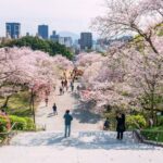 Treasures of Kyushu 7-Day Tour by Europamundo - Nagasaki balances remembrance with older connections