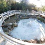 Treasures of Kyushu 7-Day Tour by Europamundo (2026 Departures) - Day 1: Settle into Fukuoka