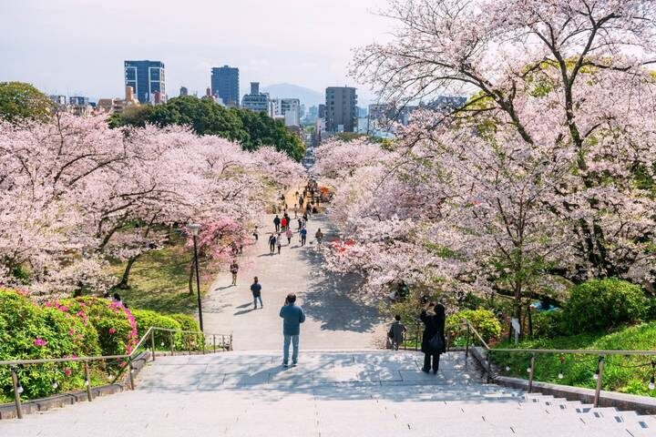 Treasures of Kyushu 7-Day Tour by Europamundo - Nagasaki balances remembrance with older connections