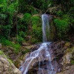 Tree Bridge Zipline Samui - From hotel pickup to the first platform