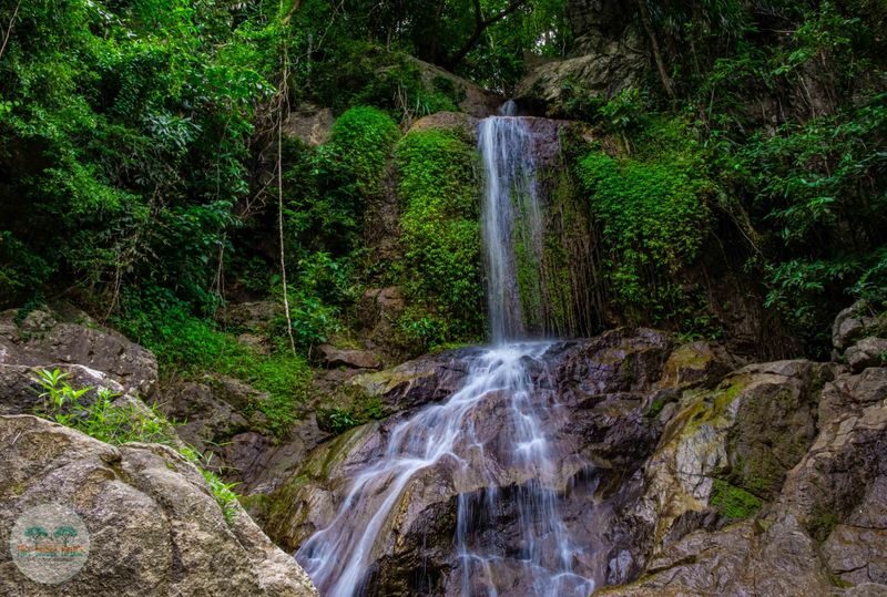 Tree Bridge Zipline Samui - From hotel pickup to the first platform