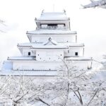 Tsurugajo Castle (Aizu-Wakamatsu Castle) Admission Ticket in Aizuwakamatsu - The view from the top