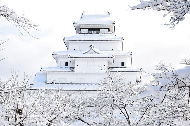 Tsurugajo Castle (Aizu-Wakamatsu Castle) Admission Ticket in Aizuwakamatsu - The view from the top