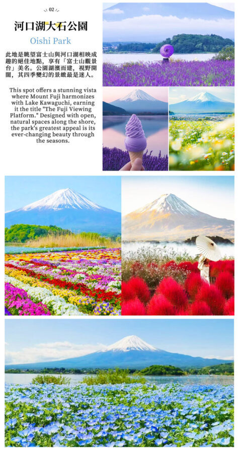 Two-Day Mount Fuji Cycling Tour | Kawaguchiko Panoramic Ropeway & Matcha Experience + Oishi Park + Oshino Hakkai + Hirano no Hama + Yamanakako Cycling / Boat Trip + Popular Check-In Spots | Includes 1 Night Hot Spring Hotel - Day one: flowers, matcha, and a view from above