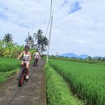 Ubud Rice Fields & Tegallalang E-Bike Discovery - From Ubud streets to rice-field paths