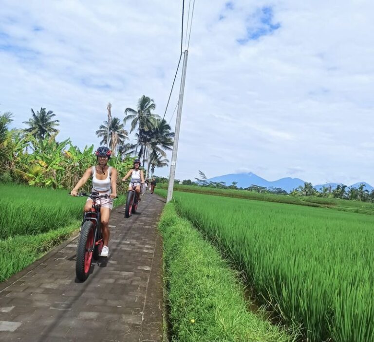 Ubud Rice Fields & Tegallalang E-Bike Discovery - From Ubud streets to rice-field paths