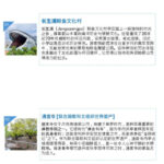 Ulsan Coastal Cruise & Tongdosa Temple Full-Day Tour - Jangsaengpo’s retro take on Ulsan