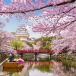 Ultimate Japan-2025 by Travel Talk - 14-Day Tokyo to Osaka Tour - Hakone: a lake crossing and a cable car