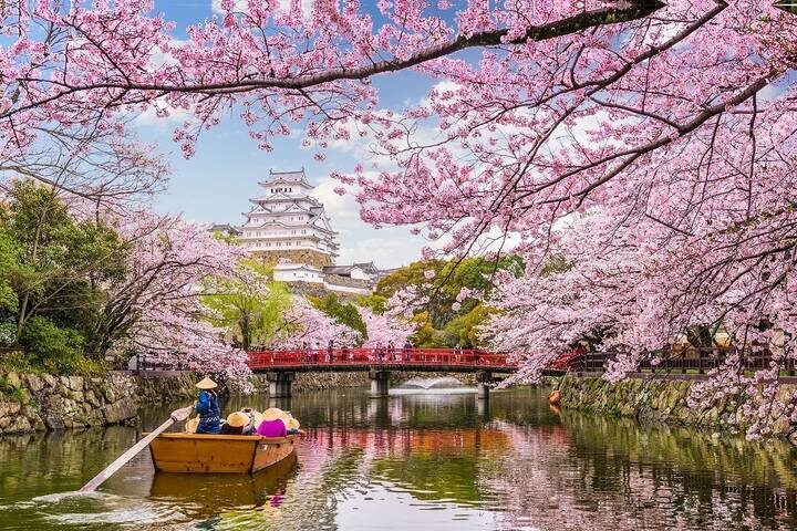 Ultimate Japan-2025 by Travel Talk - 14-Day Tokyo to Osaka Tour - Hakone: a lake crossing and a cable car