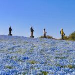 Uminonakamichi Seaside Park Segway Tour in Fukuoka - The route mixes park sights with a coastal breeze
