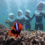 Underwater SeaWalker Experience Ishigaki Island - What you may see beneath Ishigaki