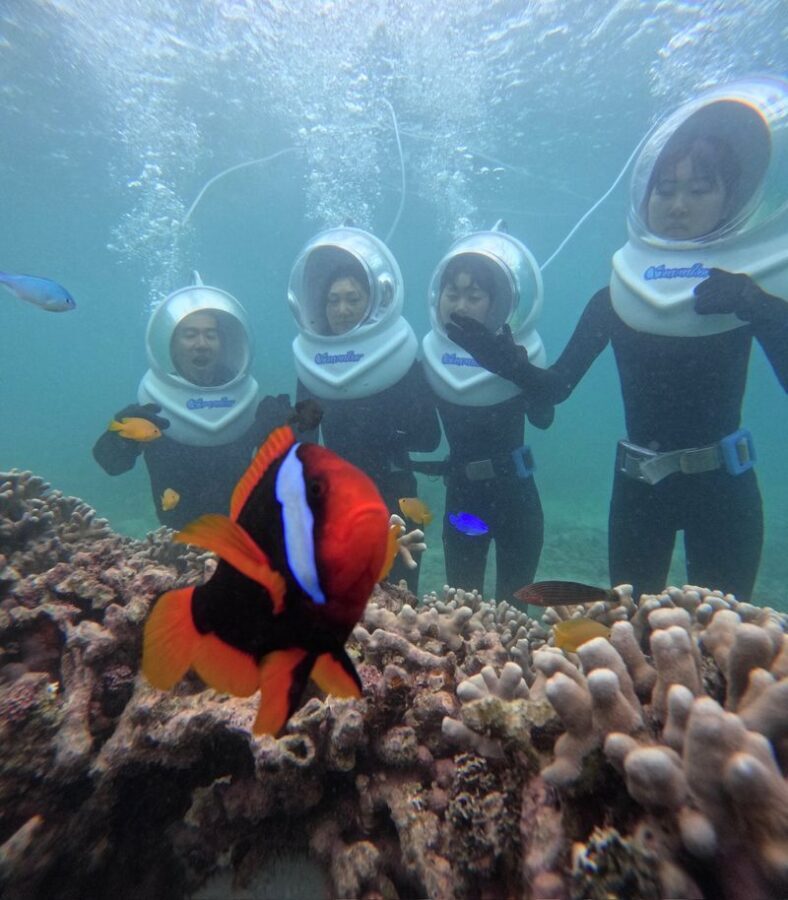 Underwater SeaWalker Experience Ishigaki Island - What you may see beneath Ishigaki