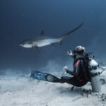 Unveiling Fuvahmulahs Secrets: Full-Day Dive Trip with PADI Center - 07:00 departure and the first run to Farikede