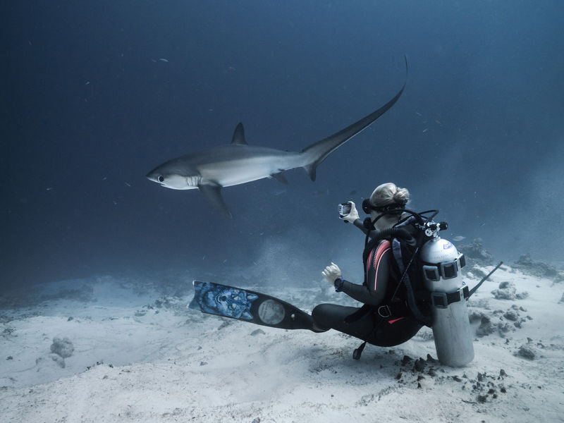 Unveiling Fuvahmulahs Secrets: Full-Day Dive Trip with PADI Center - 07:00 departure and the first run to Farikede