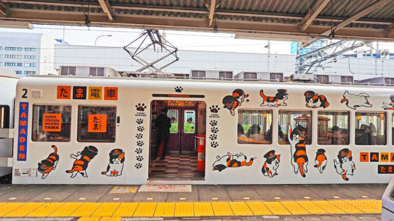 Wakayama Day Trip: Cat Stationmaster Kishi Station Train Experience, Tuna Cutting Show, Shirahama Onsen, Senjojiki Sandanbeki (Round trip from Osaka) - Senjojiki’s broad rock shelf and the Sandanbeki cliffs