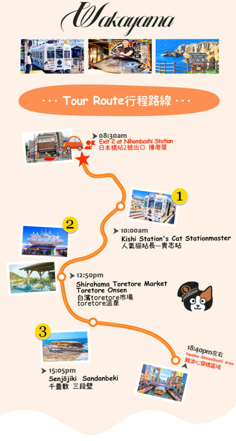 Wakayama/Shirahama: Kishi Station Cat Stationmaster Train Experience, Shirahama Senjojiki, and Sandanbeki Cliff One-Day Tour from Osaka - A Short Ride on the Cat-Themed Train