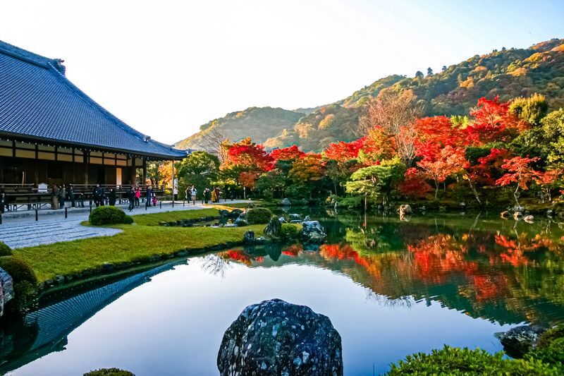 Walking Tour of Western Kyoto: Arashiyama, Kinkakuji and Koboshi - Starting at Kyoto Tower Sando